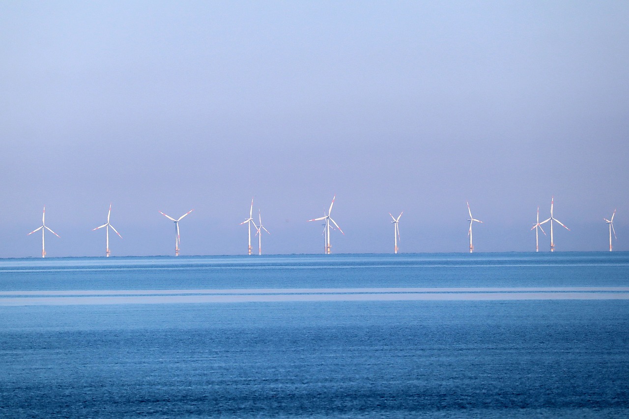 Offshore wind farm